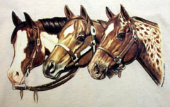 Western Horses Tshirt